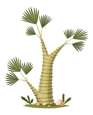 Üstünde yeşil yapraklar ve gövdesi olan palmiye ağacı. Egzotik verimli ağaç. Beyaz arkaplanda izole edilmiş vektör doğa florası.