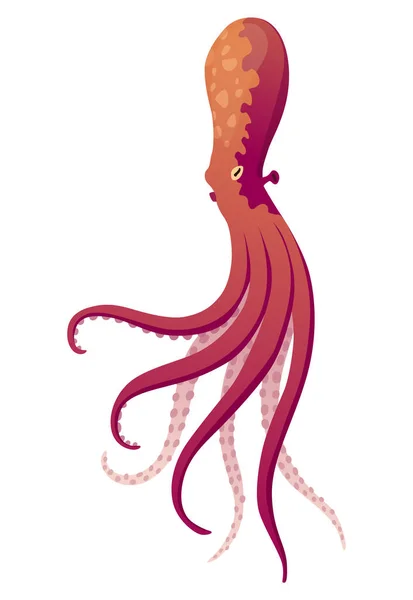 章鱼卡通人物平庸 手握吸盘 水生动物的象征 动物园广告动物图解 自然概念 可爱的章鱼 有触角的海生动物 — 图库矢量图片