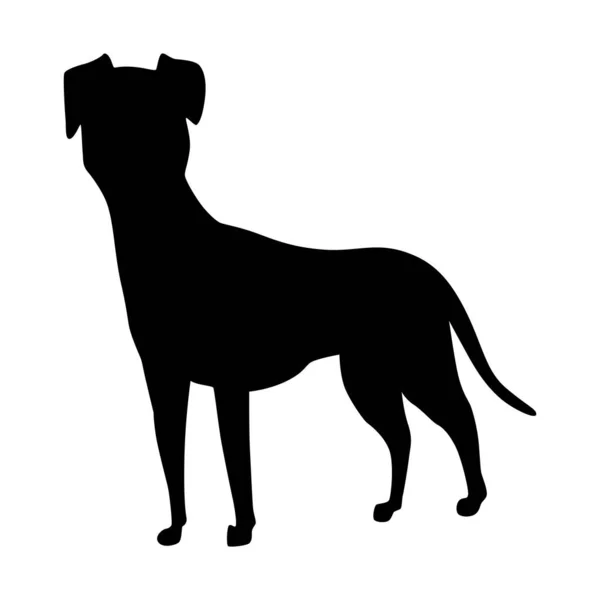 Hundesilhouette Mischlingshündin Seitenansicht Haustierstand Symbol Schwarzer Farbe Nutzen Sie Für — Stockvektor