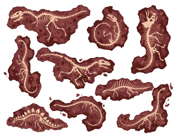 Huesos Esqueleto Dinosaurio Excavaciones Fósiles Arqueología Aisladas Colección Esqueletos Reptiles — Archivo Imágenes Vectoriales