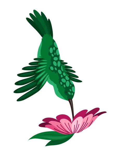 Kolibri Vielfarbige Fliegende Tropische Kolibris Mit Blume Isoliert Auf Weißem — Stockvektor