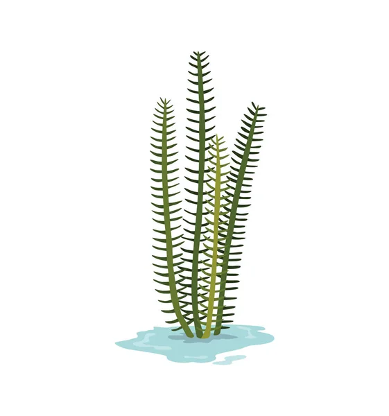 Marsh Wetland Plant Met Hand Getekend Botanisch Item Moeras Flora — Stockvector