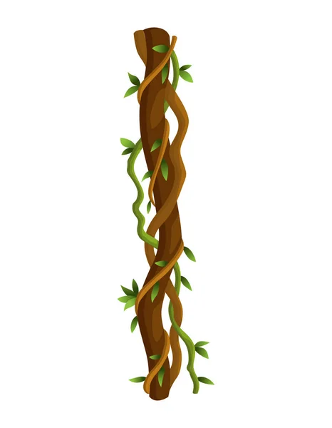 扭曲的野生藤蔓枝条横幅 藤蔓丛生植物 热带雨林植物和奇异的植物学 木质自然分枝 — 图库矢量图片