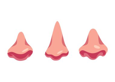 Yüz yapım elementi, kafa parçalı avatar oluşumu. Vektör karikatür burunları. Beyaz arkaplanda izole edilmiş yüz jeneratörü için kafa parçaları paketi.