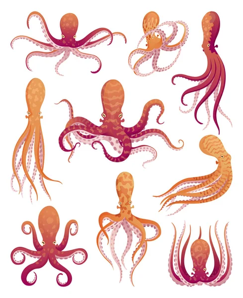 Octopus Cartoon Flat Characters Set Aquatic Fauna Icons Animals Illustration — Stock Vector