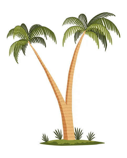 Palm Tree Green Leaves Top Trunk Exotic Fruitful Tree Vector — ストックベクタ