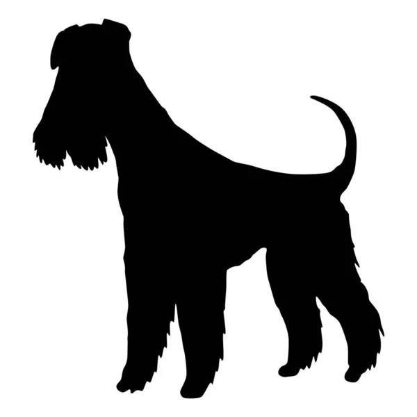 Hunderasse Mittelschnauzer Oder Airedale Terrier Seitenansicht Haustierstand Symbol Schwarzer Farbe — Stockvektor