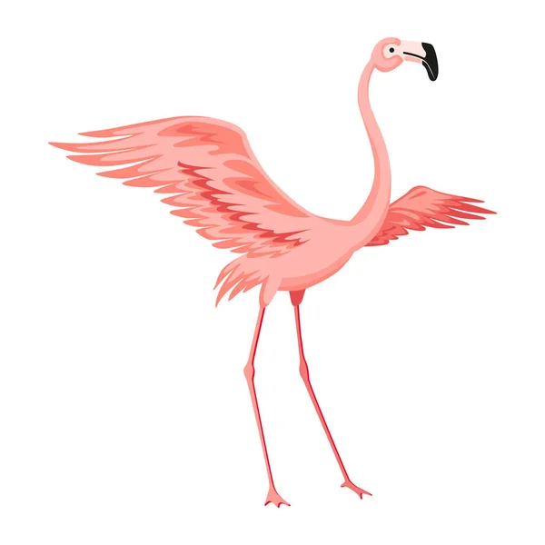 Pembe Flamingo Egzotik Tropikal Kuş Karakteri Zole Edilmiş Vahşi Hayvan — Stok Vektör