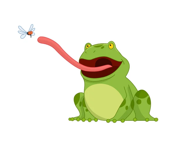 漫画カエル面白い漫画カエル 白い背景に座っている小さな両生類の文字 舌で飛ぶキャッチ愛らしいカエル — ストックベクタ