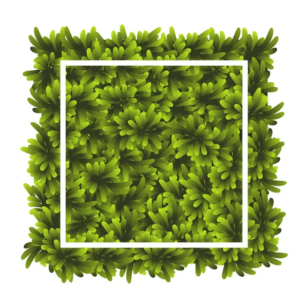 Зеленая Трава Квадратная Ground Покрыть Растения Фоновой Текстурой Дизайн Открытки — стоковый вектор