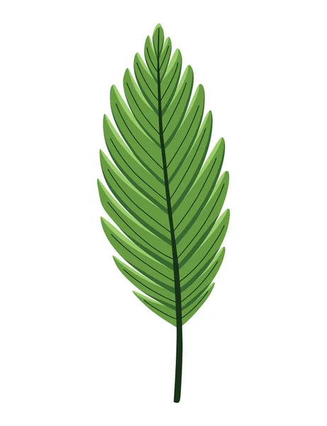 Planta Folhas Tropicais Folhagem Exótica Planta Selva Decorativa Verde Vector — Vetor de Stock