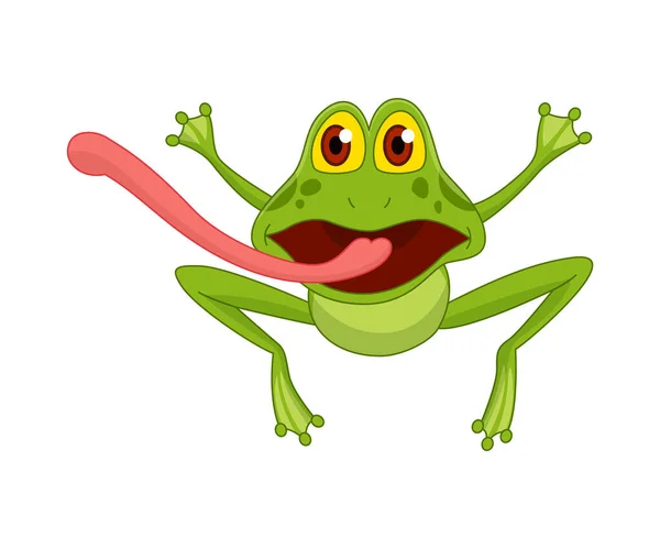 개구리재미있는 개구리입니다 위에서 점프하는 양서류 캐릭터 스러운 개구리가 나타낸다 — 스톡 벡터