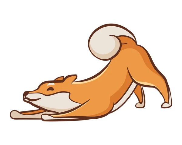 Shiba Inu Hundecharakter Verspieltes Haustier Spielbereit Handgezeichneter Vektoraufkleber Netter Und — Stockvektor
