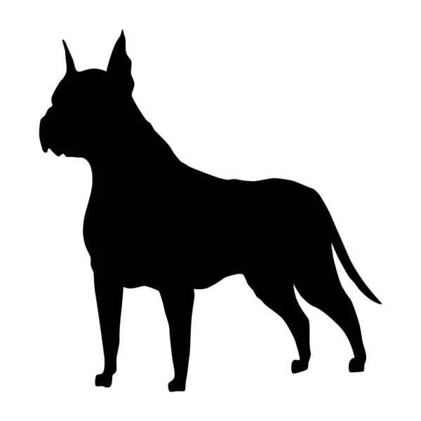 Dog Silhouette Boxer Breed Side View Pet Stand Icon Black — Stock Vector
