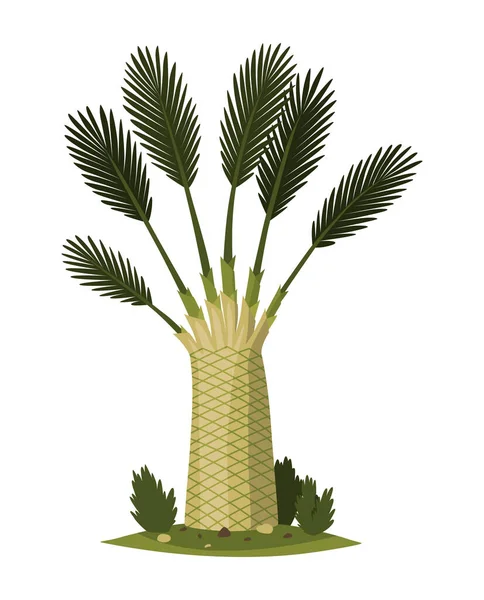 Palm Tree Green Leaves Top Trunk Exotic Fruitful Tree Vector — Stockvector