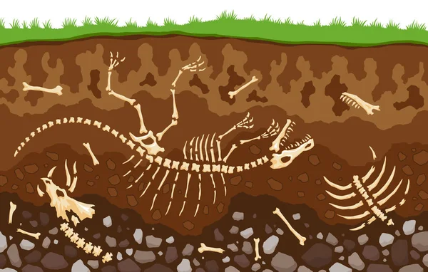 Capas Suelo Con Huesos Horizontes Superficiales Con Esqueleto Reptil Fósil — Archivo Imágenes Vectoriales