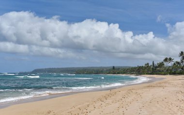 Hawaii 'nin Pasifik Adasında Güzel Tropikal Kumsal Manzarası Yumuşak Okyanus Dalgaları