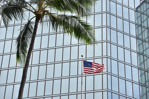 Etats Unis Drapeau Palmier Contre Bâtiment Verre — Photo