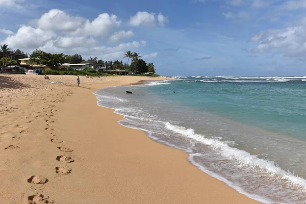 太平洋夏威夷岛上美丽的热带沙滩与温和的海浪景观 — 图库照片