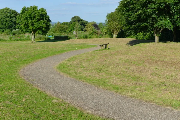 Yeşil Bitkilerle Güzel Bir İngiliz Tarzı Parkı 'nda Yol