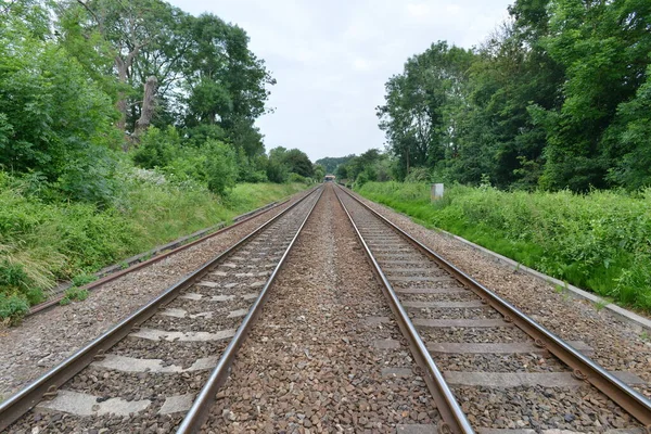 Tracce Ferroviarie Circondate Alberi Verdi — Foto Stock