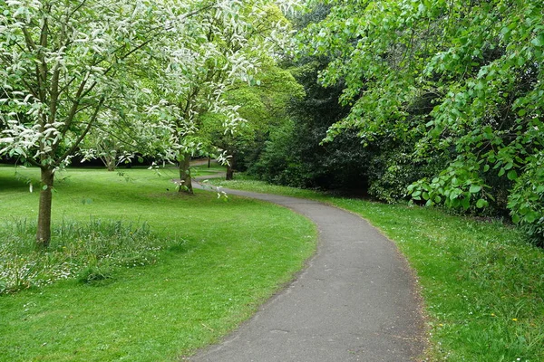 Path Beautiful English Style Park Green Plants — Stock Photo, Image