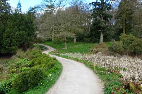 Path Beautiful English Style Park Green Plants — Stock Photo, Image