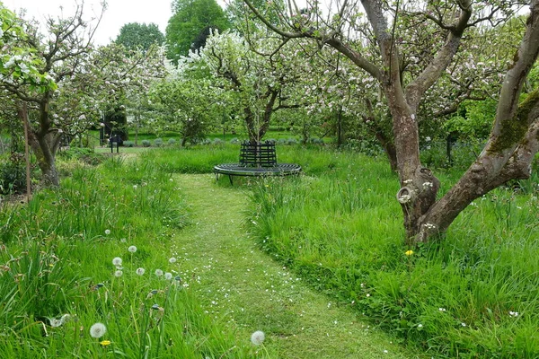 Path Beautiful English Style Park Green Plants — Stockfoto