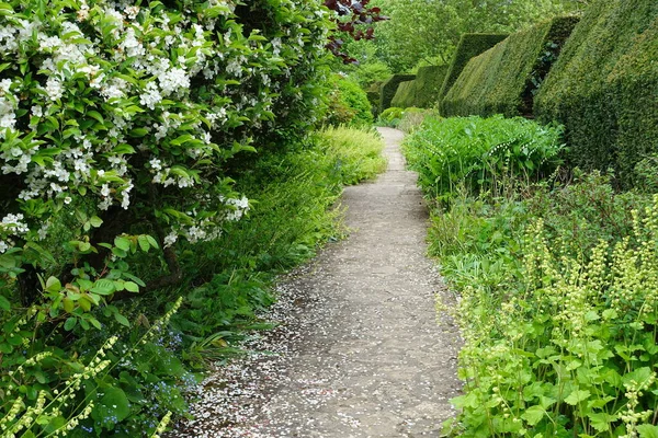 Cesta Nádherným Anglickým Stylovým Parkem Zelenými Rostlinami — Stock fotografie