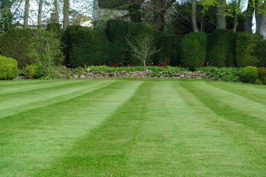 Yeşil taze biçilmiş çimleri, renkli çiçek yatakları ve yeşil bitkileri olan güzel bir İngiliz Tarzı Peyzaj Bahçesi Manzarası 