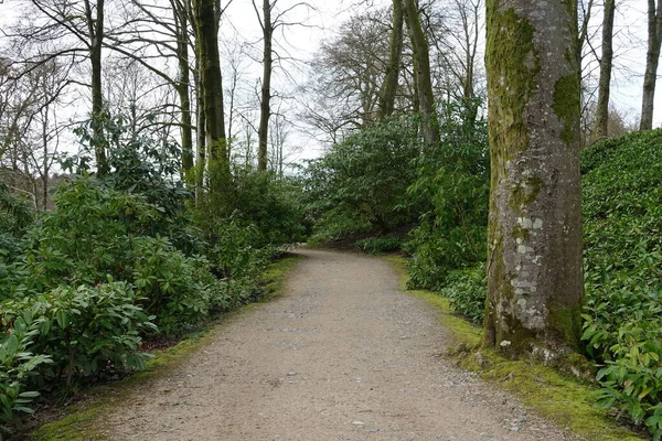 Path Beautiful English Style Park Green Plants — Stockfoto