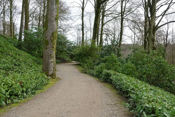 Vägen Genom Vacker Engelsk Stil Park Med Gröna Växter — Stockfoto