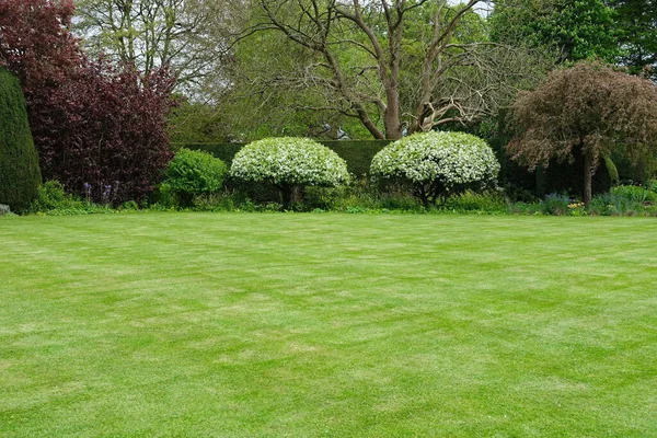 Scenic View Beautiful English Style Landscape Garden Green Freshly Mowed — стокове фото