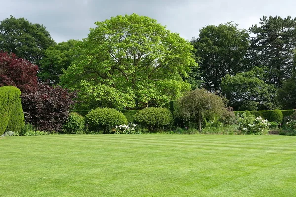 Paisaje Escénico Vista Atractivo Jardín Estilo Inglés Con Césped Verde —  Fotos de Stock