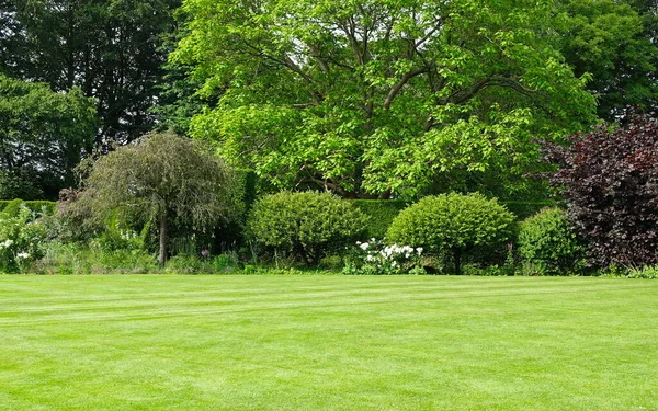 美丽的英式花园 绿叶绿叶绿草 色彩艳丽的花床 风景秀丽 — 图库照片