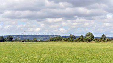 Ağaçlı ve bulutlu gökyüzü