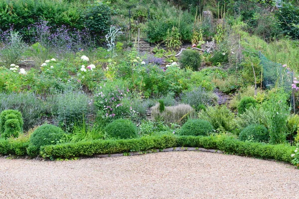 Blick Einen Garten Mit Bunten Blumen Und Grünen Pflanzen — Stockfoto