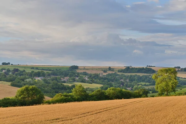 Scenic Zomer Uitzicht Een Tarweveld Het Platteland Voorbij — Stockfoto