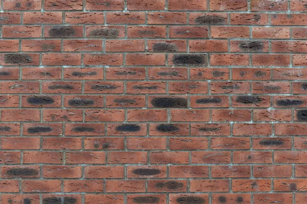 Alte Rote Backsteinmauer Hintergrund — Stockfoto