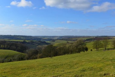 Yeşil tarım arazileri ve bulutlu mavi gökyüzü yuvarlanan kırsal bölge.