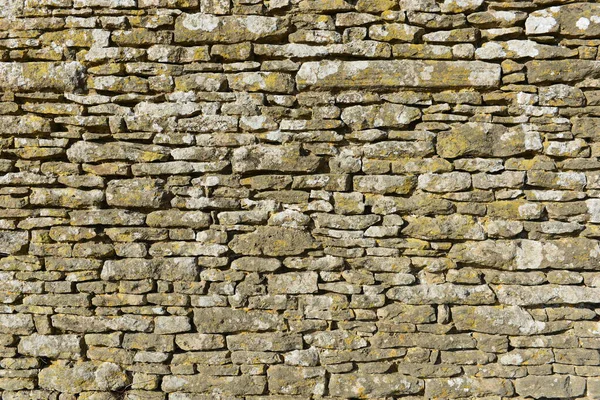 Vieux Mur Pierre Recouvert Lichen — Photo