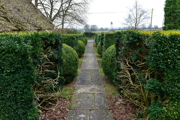 Stone Paved Garden Path Lined Hedge Topiary — Stock Photo, Image