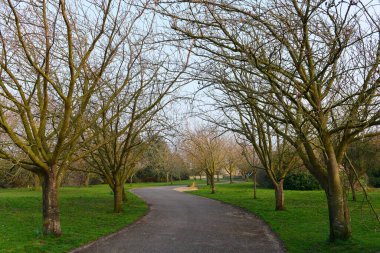 Parklar boyunca dolambaçlı yol ve ağaçlarla kaplı.