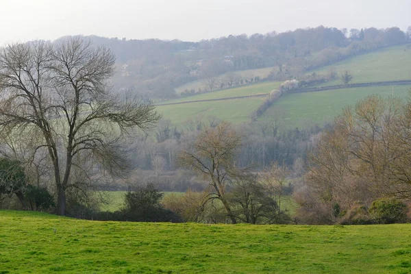 Vue Des Champs Agricoles Verts — Photo