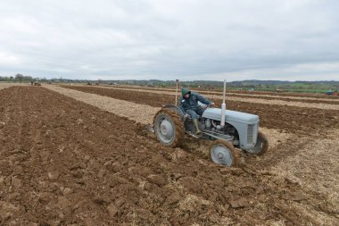 Bir traktör, 4 Nisan 2015 'te Wingfield, İngiltere' de yapılan bir saban yarışında tarlayı tarladan geçirir. 1950 