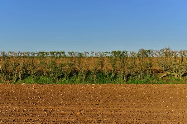 Vista Panorâmica Campo Agrícola Arado — Fotografia de Stock