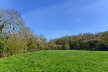 İngiltere 'de Bath yakınlarındaki Wiltshire Somerset sınırındaki Avon Vadisi' nde yemyeşil tarım arazileri ve mavi gökyüzü olan eski köyün manzarası.