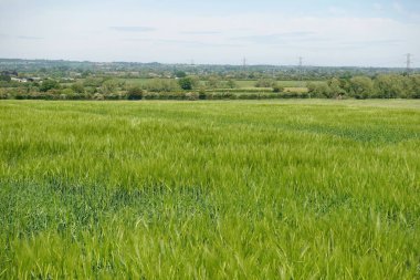 İngiltere 'de Bath yakınlarındaki Wiltshire Somerset sınırındaki Avon Vadisi' nde yemyeşil tarım arazileri ve mavi gökyüzü olan eski köyün manzarası.