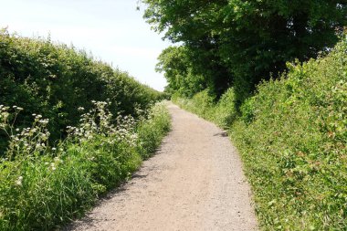 Dolambaçlı bir köy yolunun manzarası