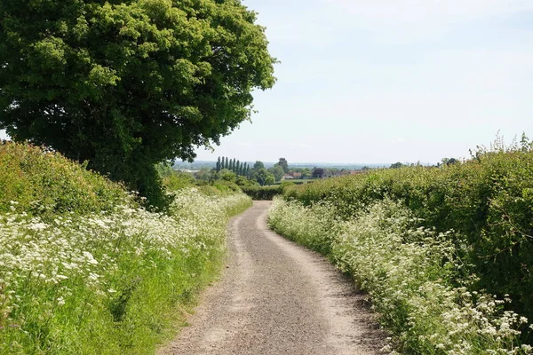 Scenic View Winding Country Road — Stock Photo, Image